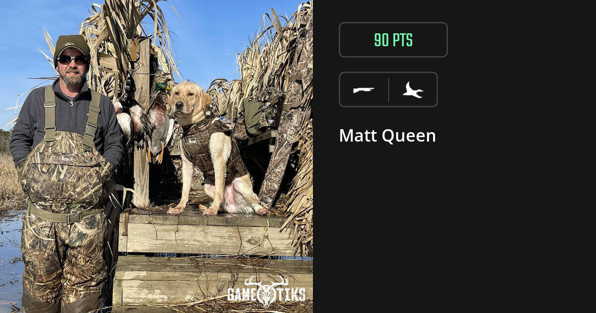 Waterfowl harvest on Gametiks