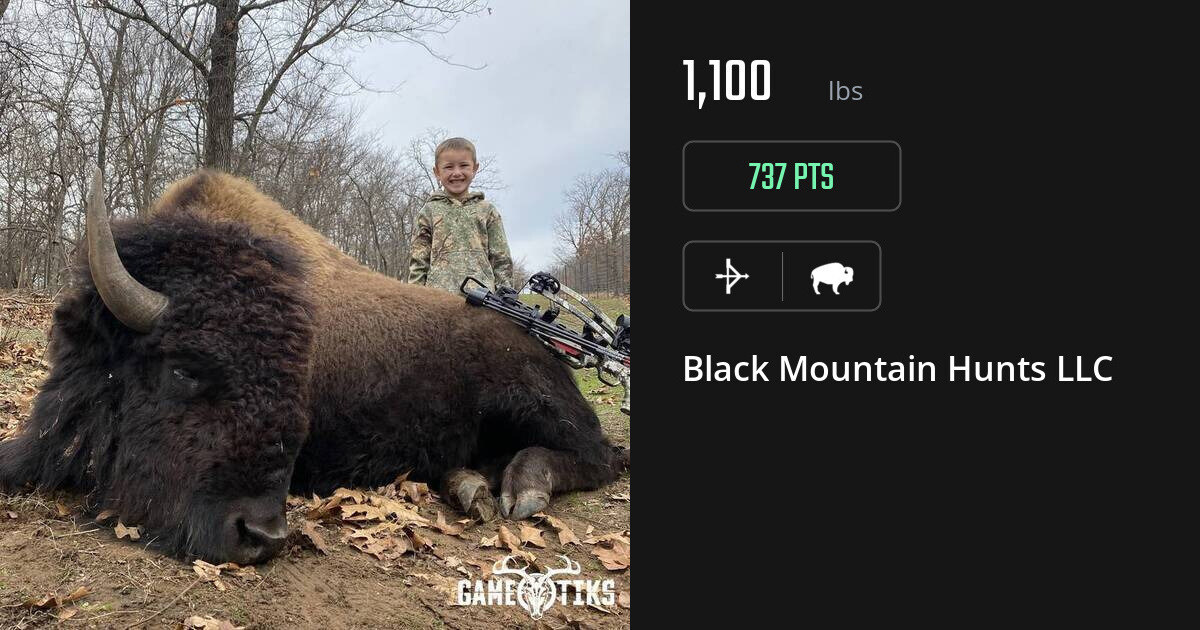 Buffalo harvest on Gametiks