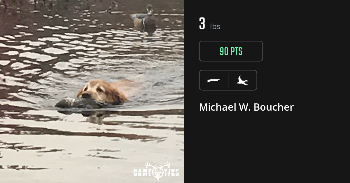 waterfowl harvest by Michael W. Boucher