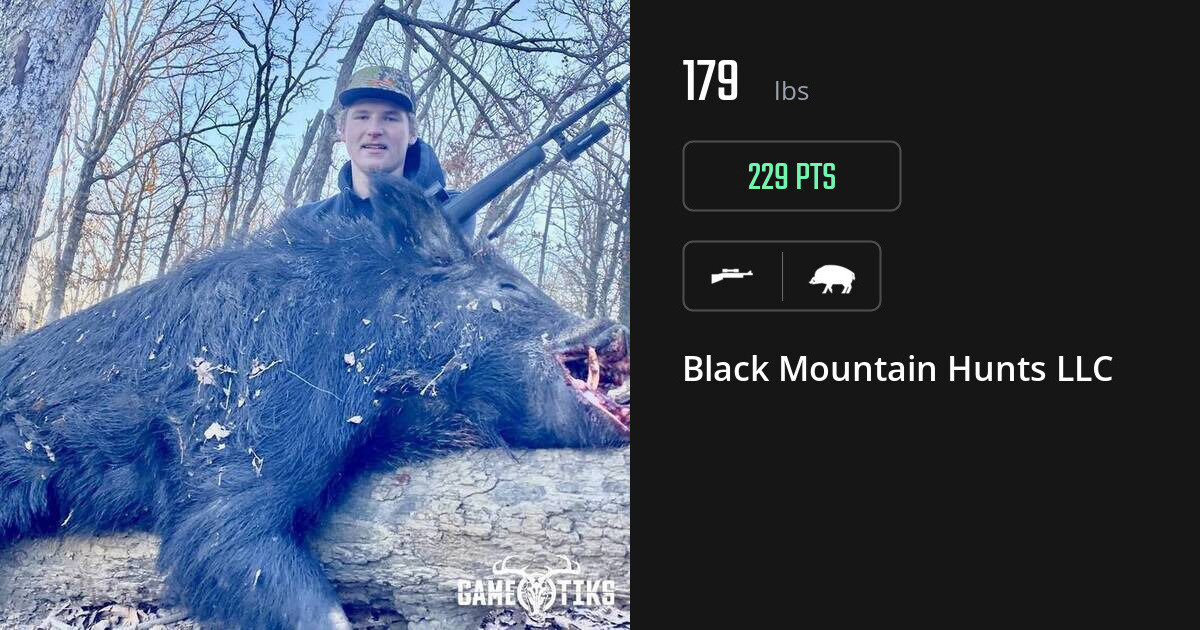 Boar harvest on Gametiks