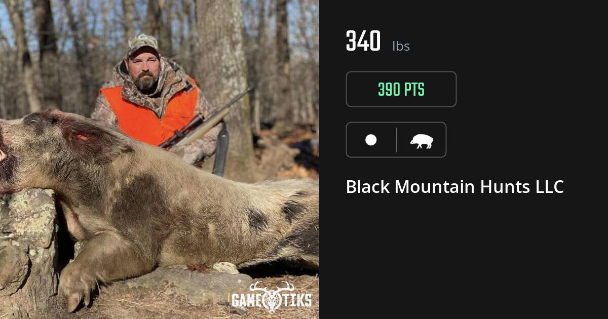 Boar harvest on Gametiks