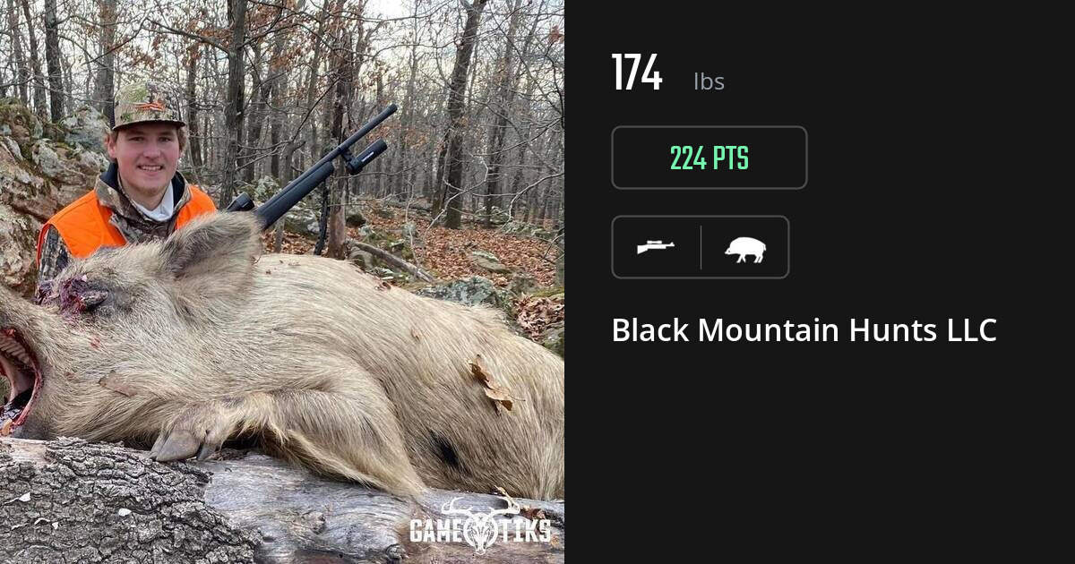 Boar harvest on Gametiks