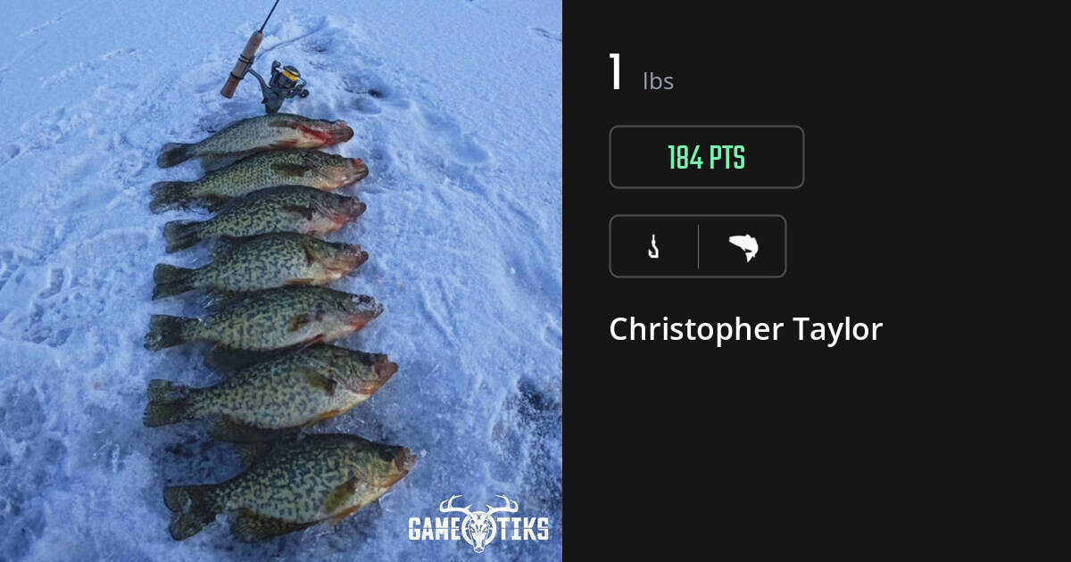 saltwater_fish harvest by Christopher Taylor