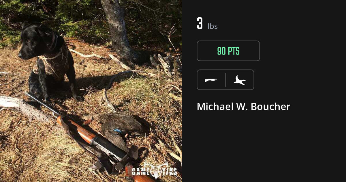 waterfowl harvest by Michael W. Boucher