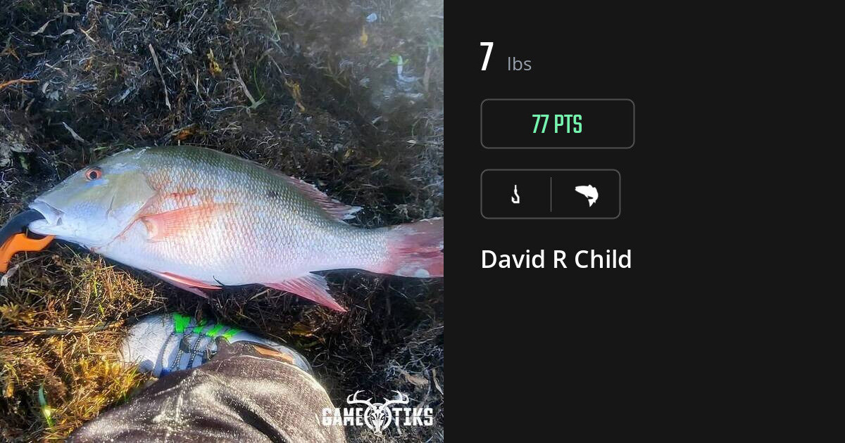Saltwater fish harvest on Gametiks