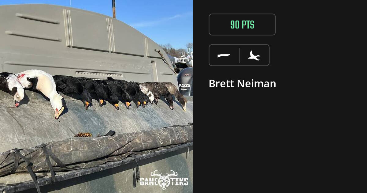 Waterfowl harvest on Gametiks