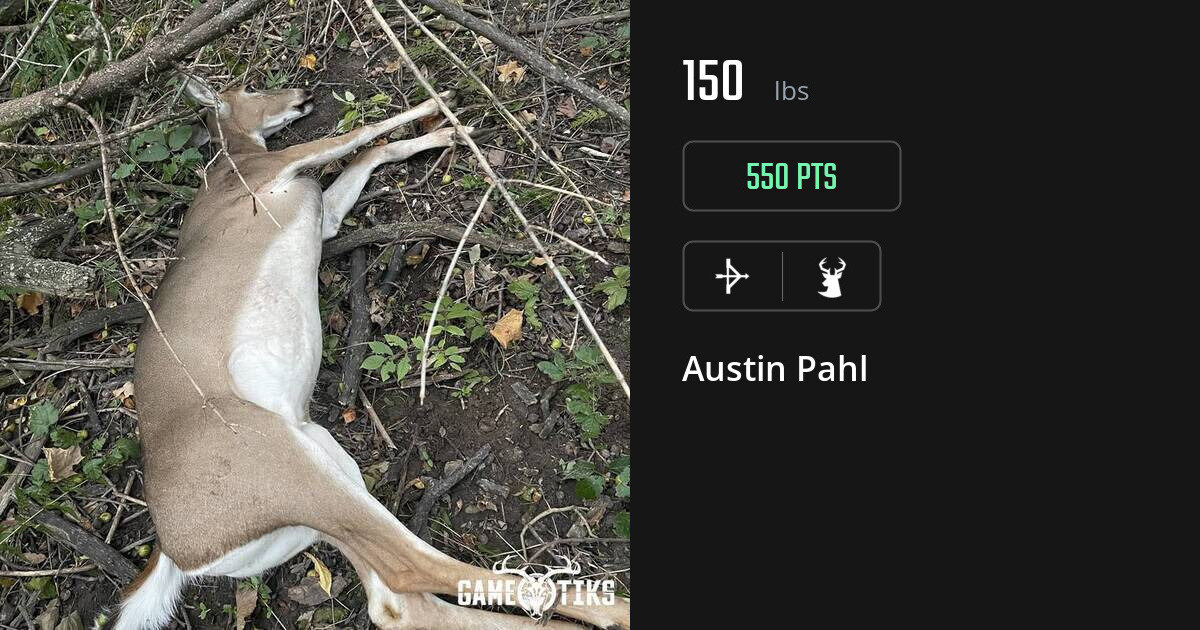 deer harvest by Austin Pahl