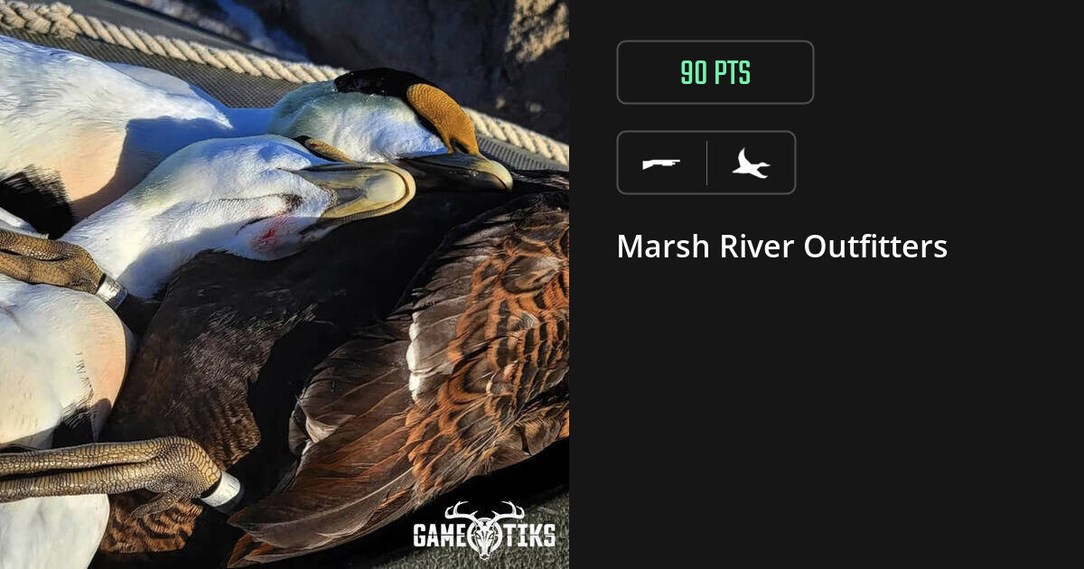 Waterfowl harvest on Gametiks