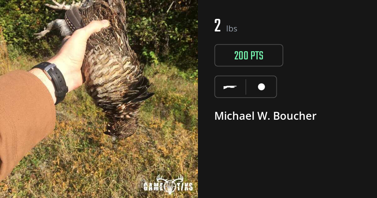 Miscellaneous harvest on Gametiks
