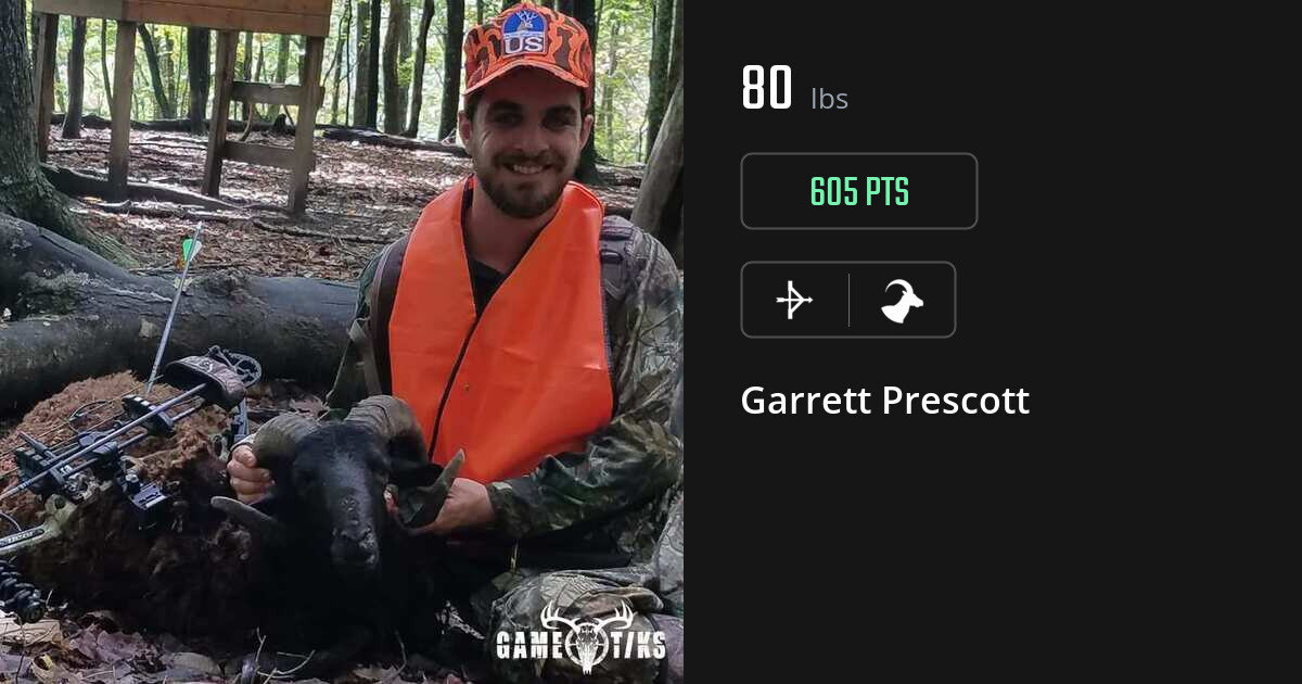 Bovid harvest on Gametiks