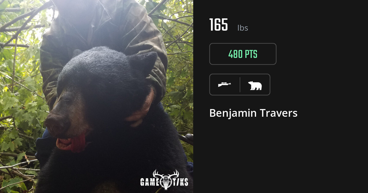 Bear harvest on Gametiks