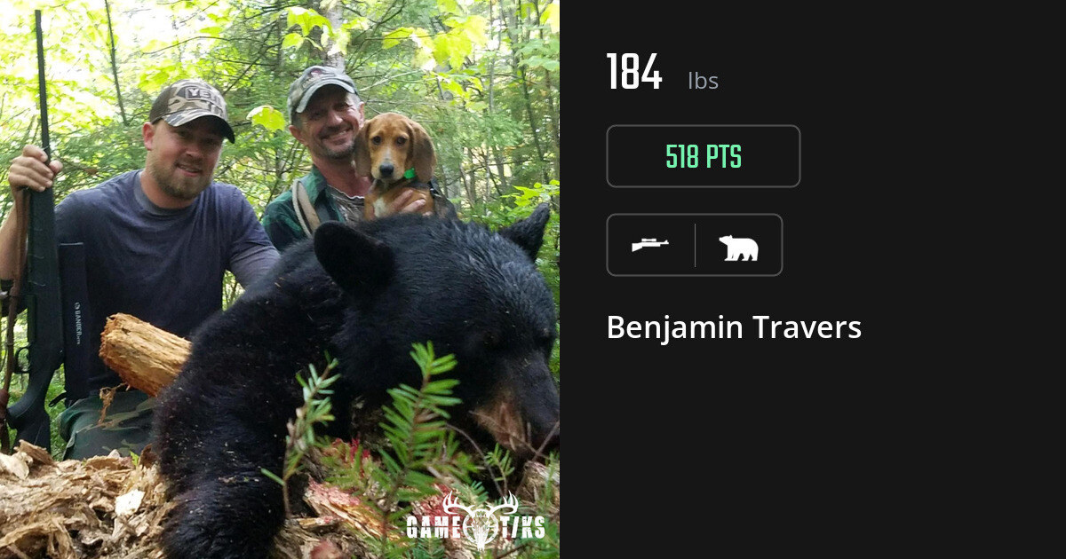 Bear harvest on Gametiks