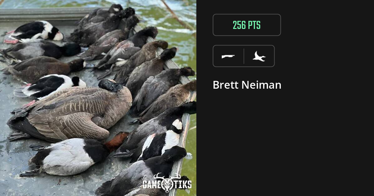 waterfowl harvest by Brett Neiman