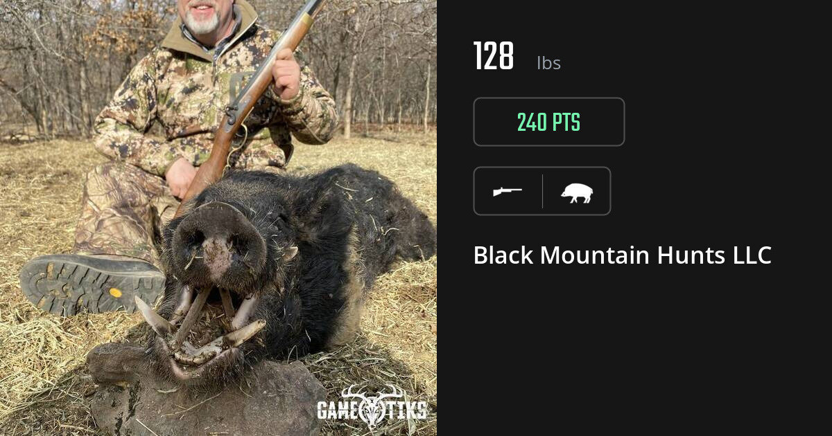 Boar harvest on Gametiks