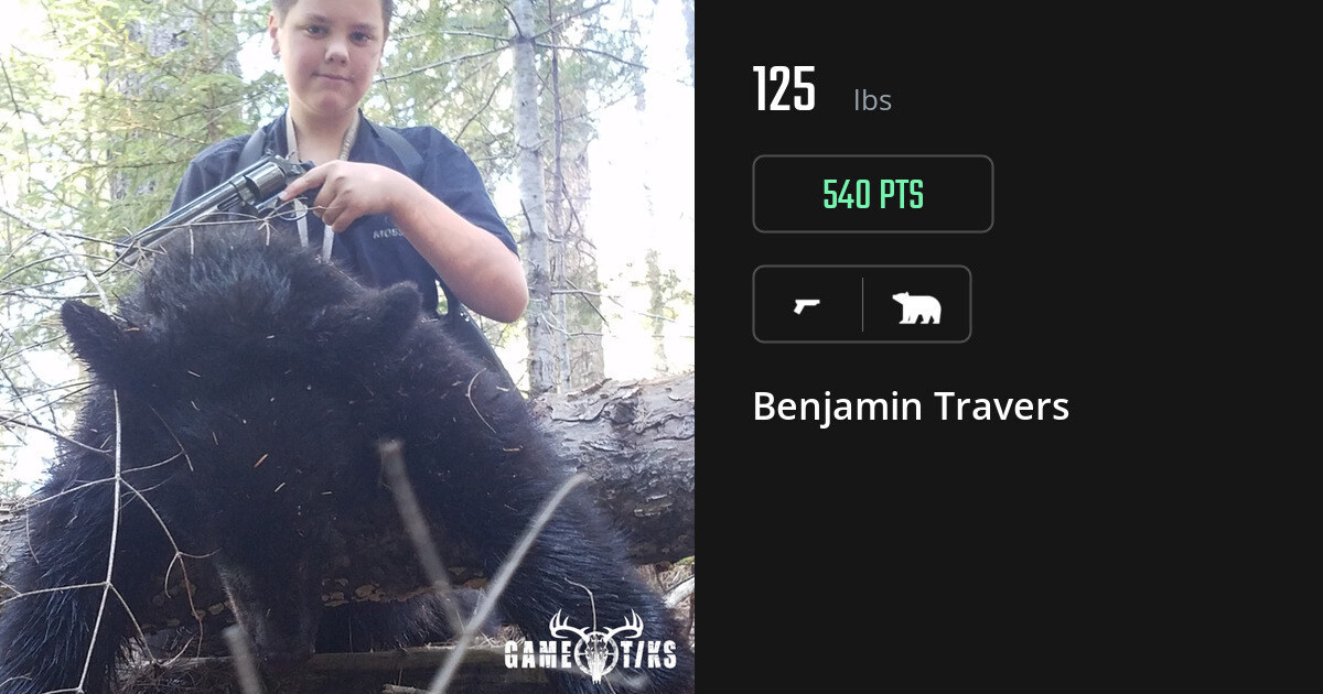 bear harvest by Benjamin Travers