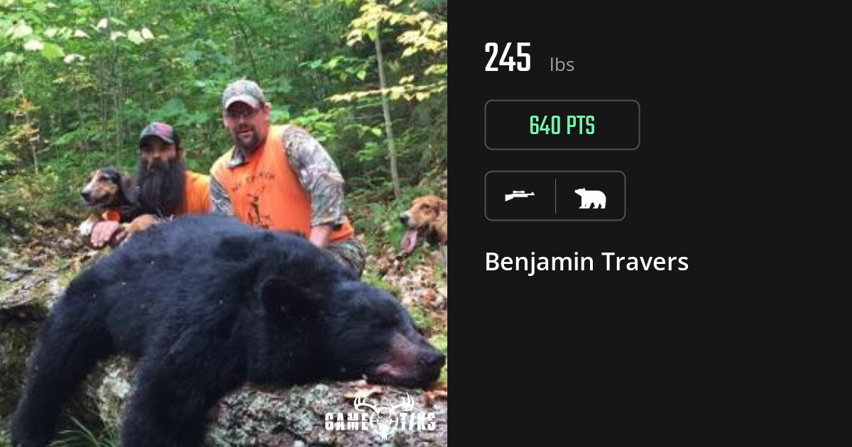 bear harvest by Benjamin Travers