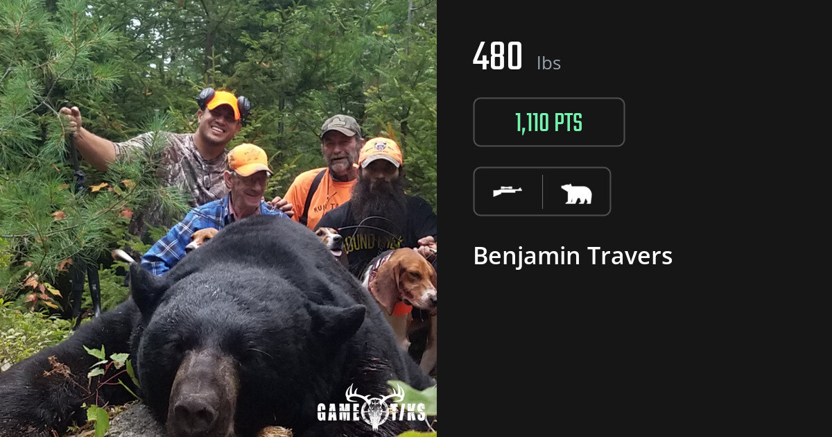 bear harvest by Benjamin Travers