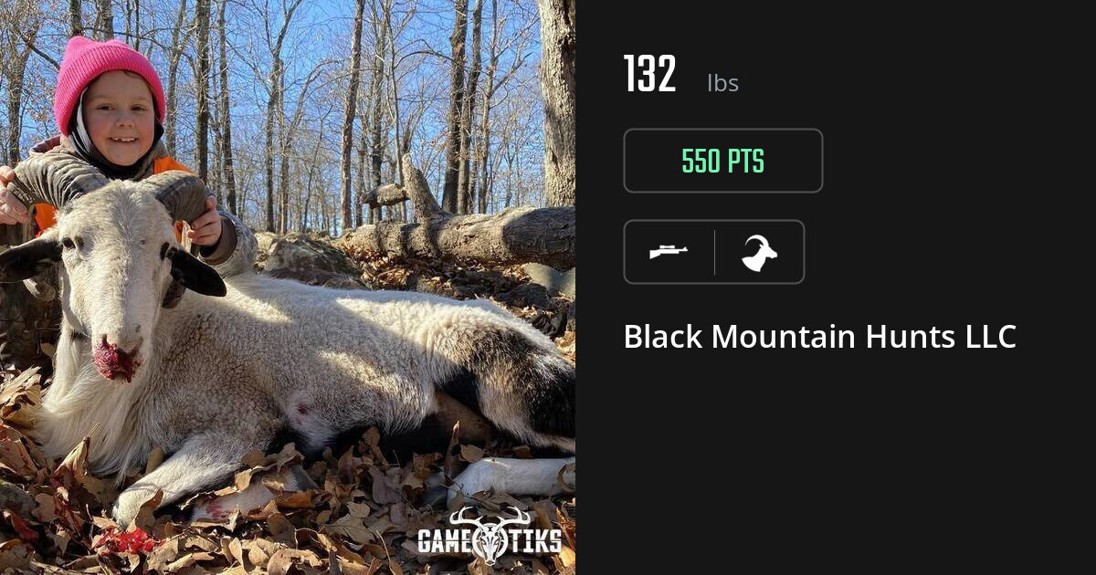 Bovid harvest on Gametiks