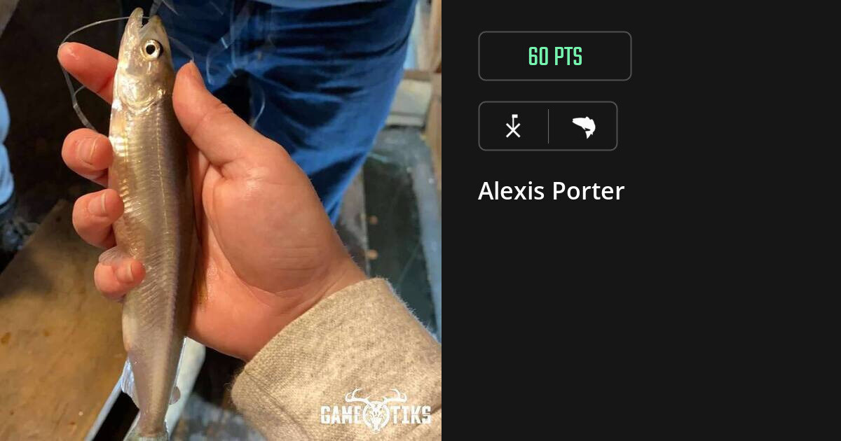Saltwater fish harvest on Gametiks