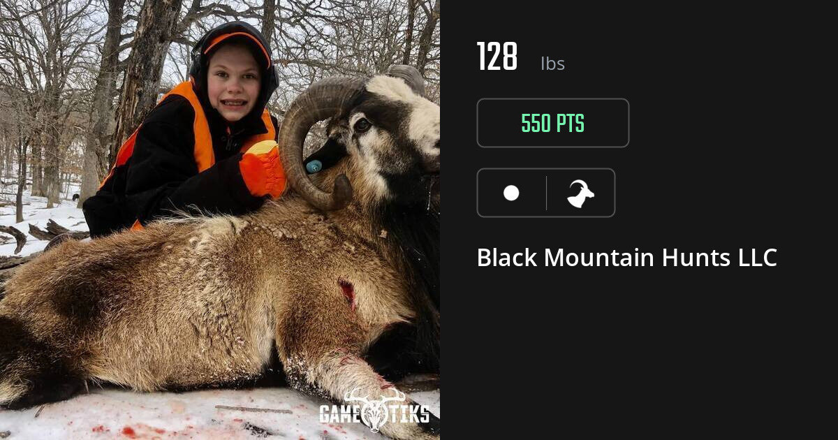Bovid harvest on Gametiks
