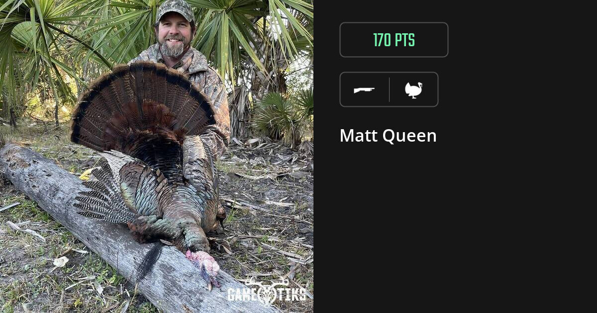 Turkey harvest on Gametiks