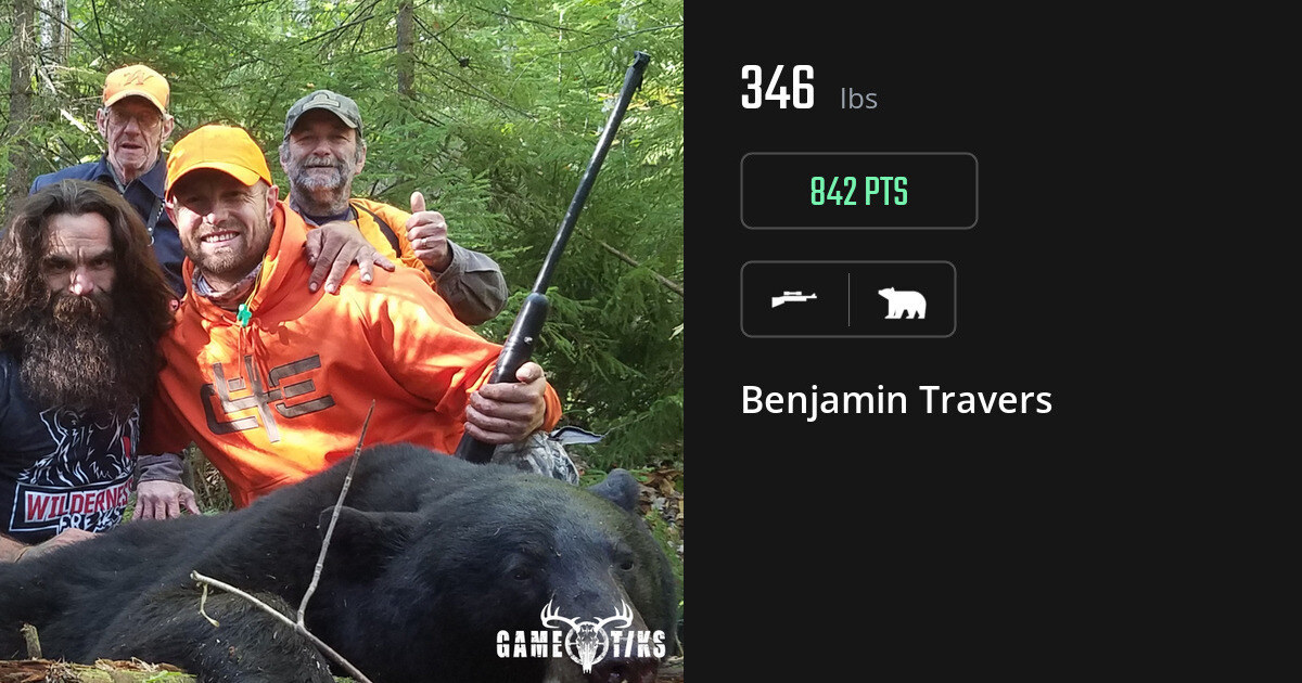 bear harvest by Benjamin Travers