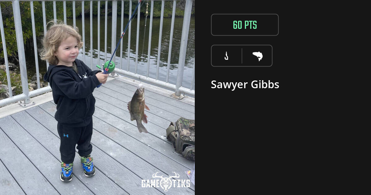 saltwater_fish harvest by Sawyer Gibbs