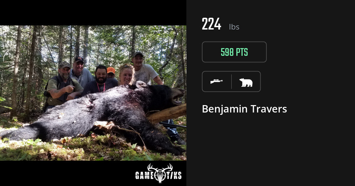 bear harvest by Benjamin Travers