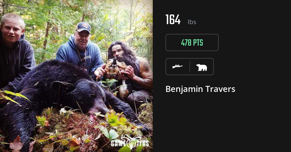 bear harvest by Benjamin Travers