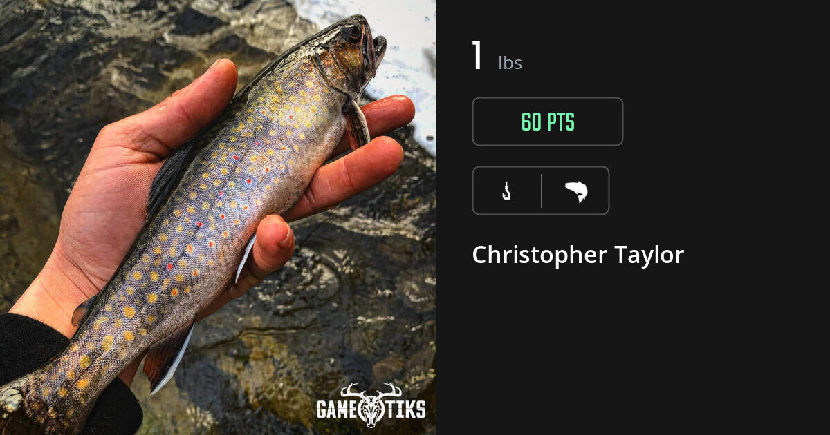 saltwater_fish harvest by Christopher Taylor