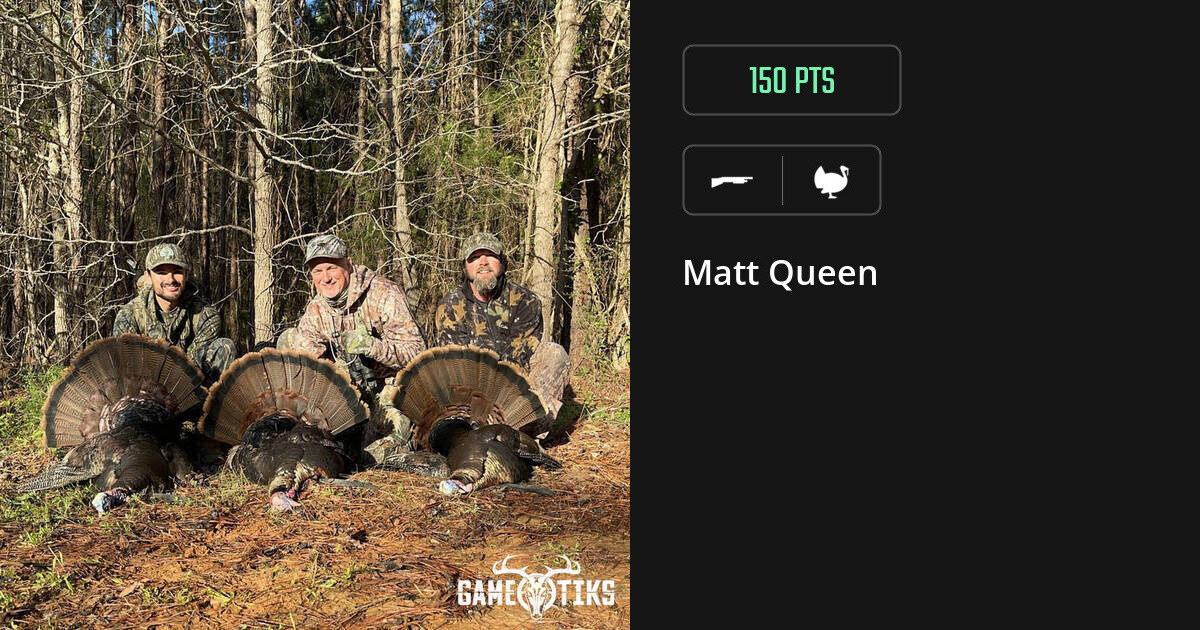 Turkey harvest on Gametiks