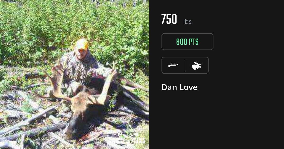 moose harvest by Dan Love