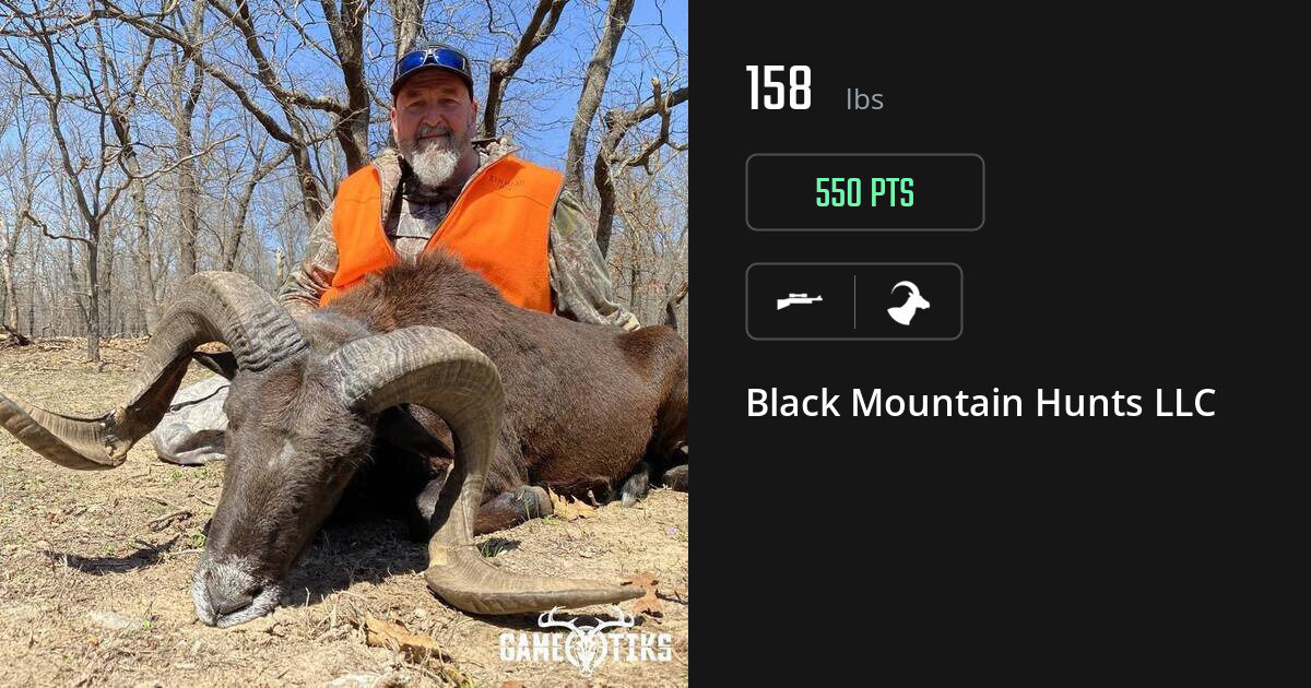 Bovid harvest on Gametiks