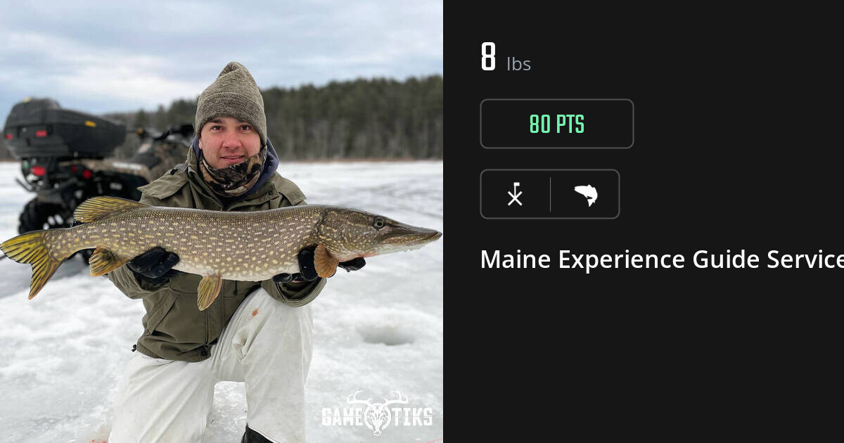 Saltwater fish harvest on Gametiks