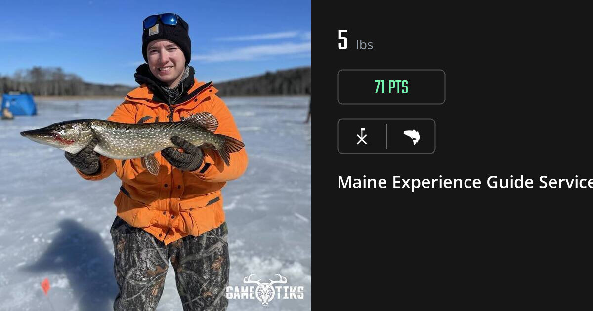 Saltwater fish harvest on Gametiks