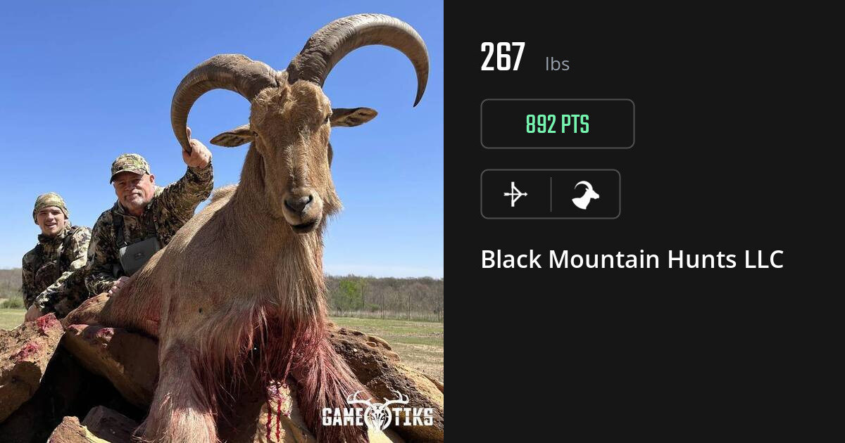 bovid harvest by Black Mountain Hunts LLC