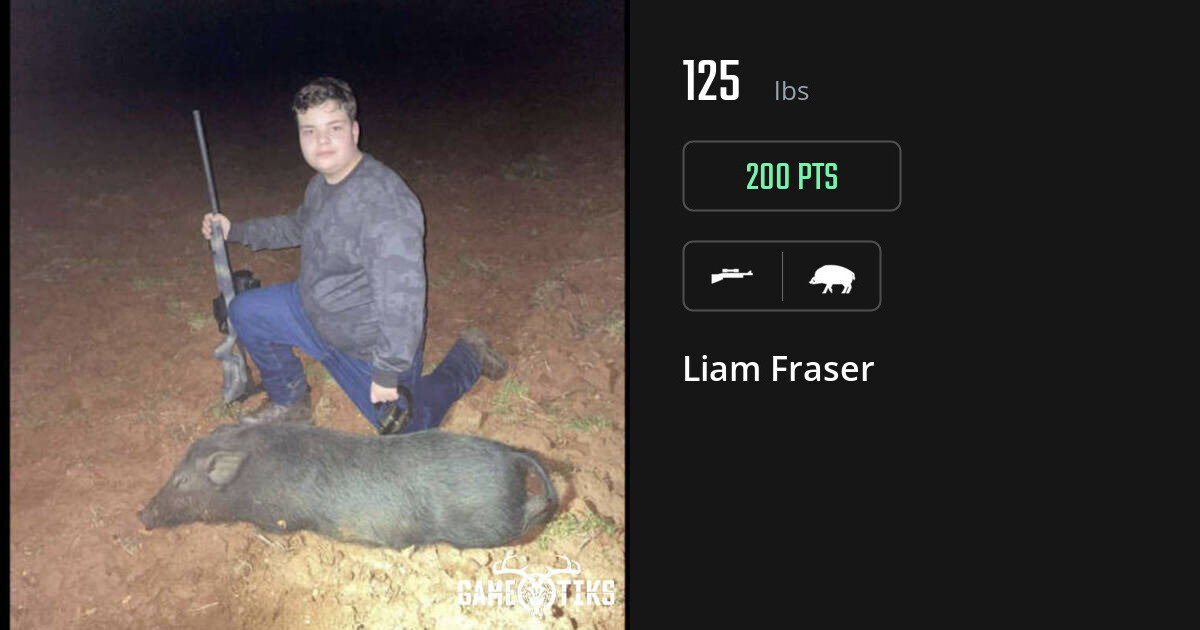 Boar harvest on Gametiks