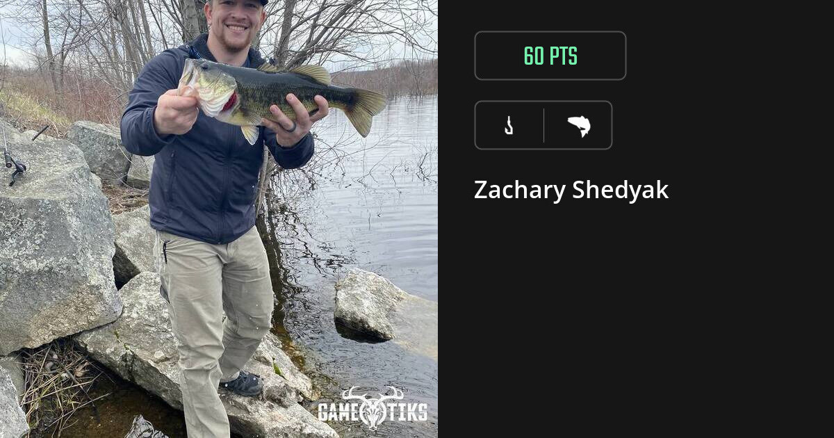 saltwater_fish harvest by Zachary Shedyak