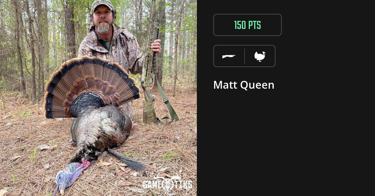 Turkey harvest on Gametiks