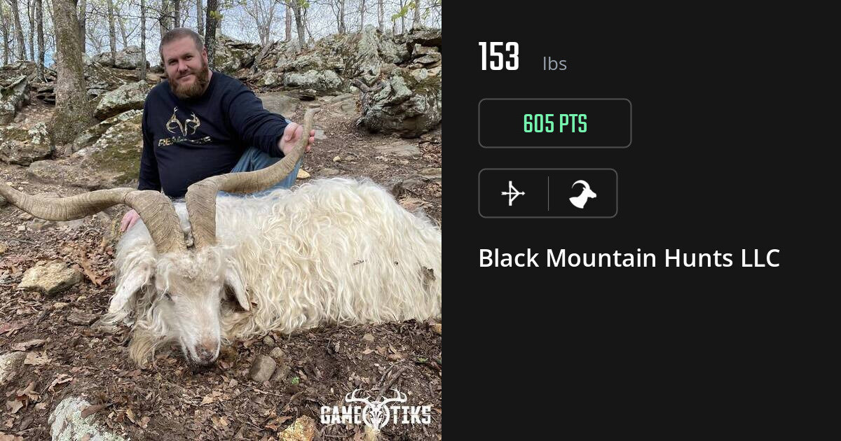 bovid harvest by Black Mountain Hunts LLC