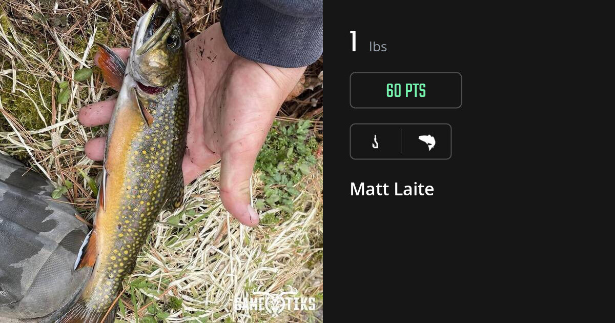 Saltwater fish harvest on Gametiks