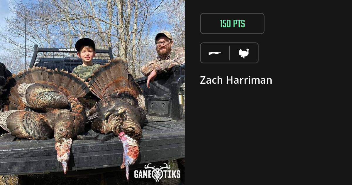 Turkey harvest on Gametiks