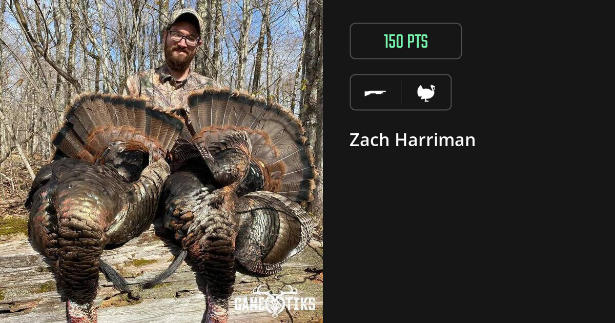 Turkey harvest on Gametiks