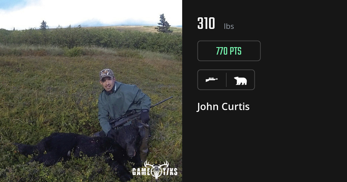bear harvest by John Curtis