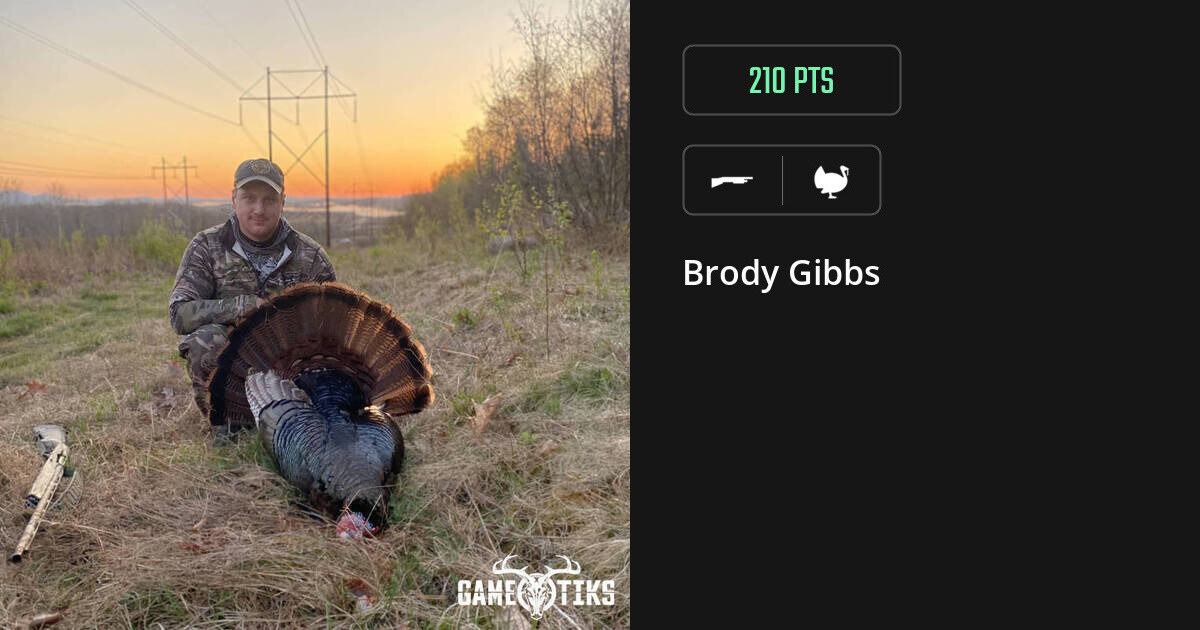 Turkey harvest on Gametiks