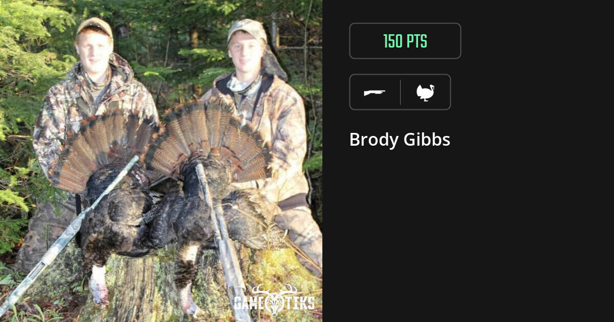 Turkey harvest on Gametiks
