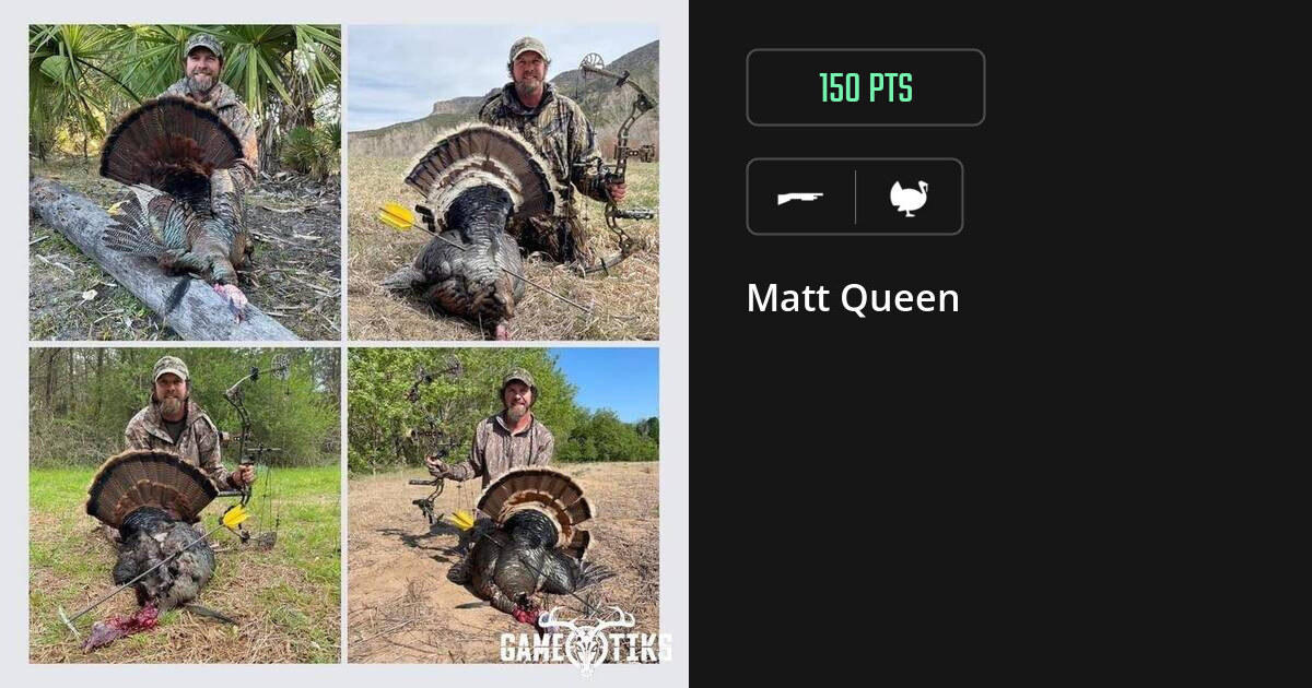 Turkey harvest on Gametiks