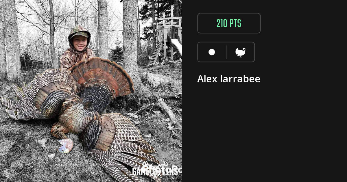 Turkey harvest on Gametiks