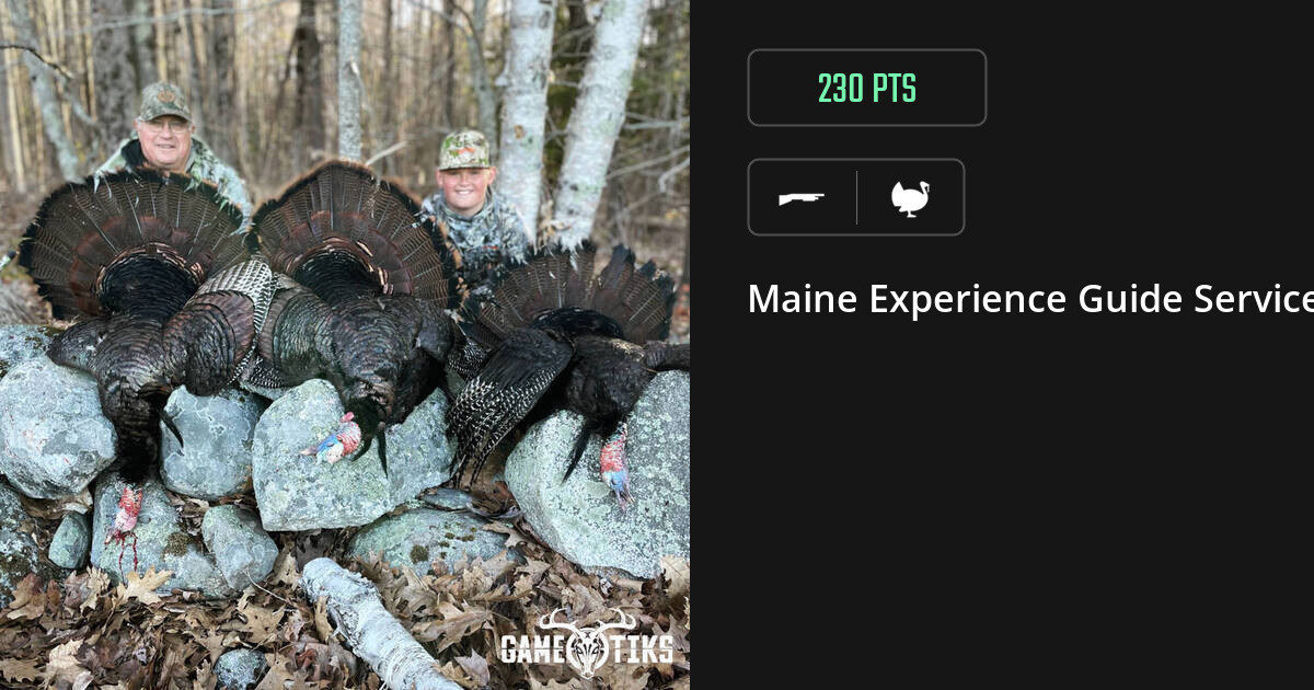 Turkey harvest on Gametiks