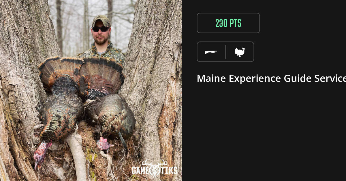 Turkey harvest on Gametiks